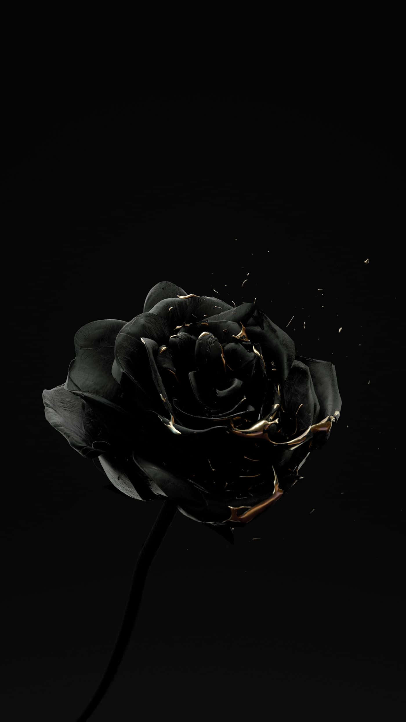 black rose, gold splash, pure black background, Full HD Phone Wallpaper