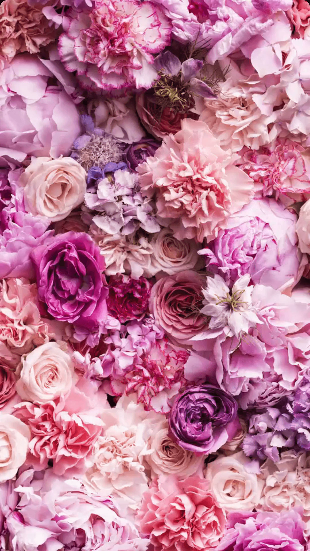 pink, purple, white flowers, Full HD Phone Wallpaper