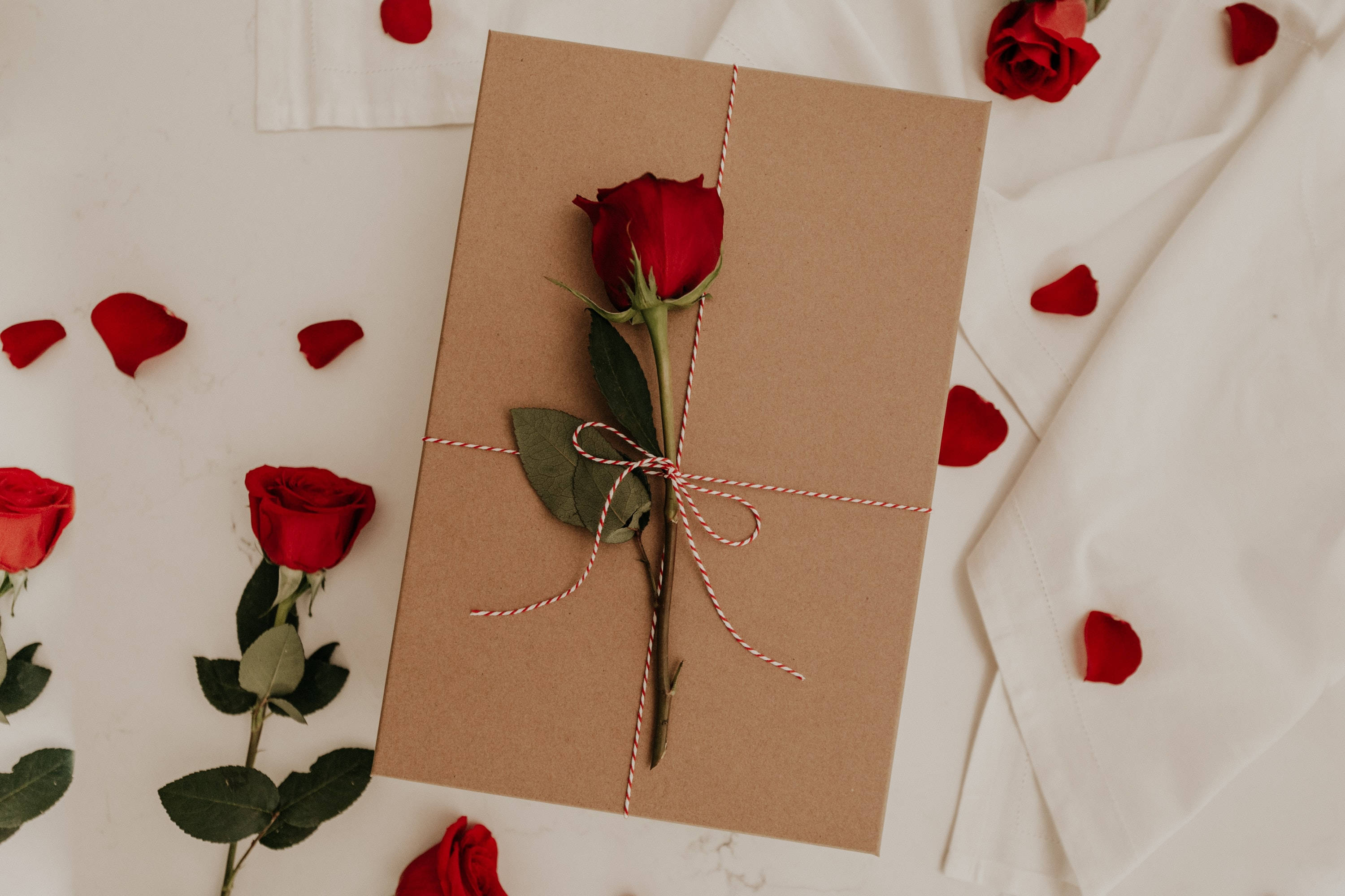 rose, brown paper, red and white twine, 2K Desktop Wallpaper
