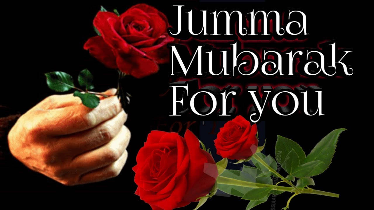 Jumma Mubarak For You, vibrant red rose, black background, HD Desktop Wallpaper