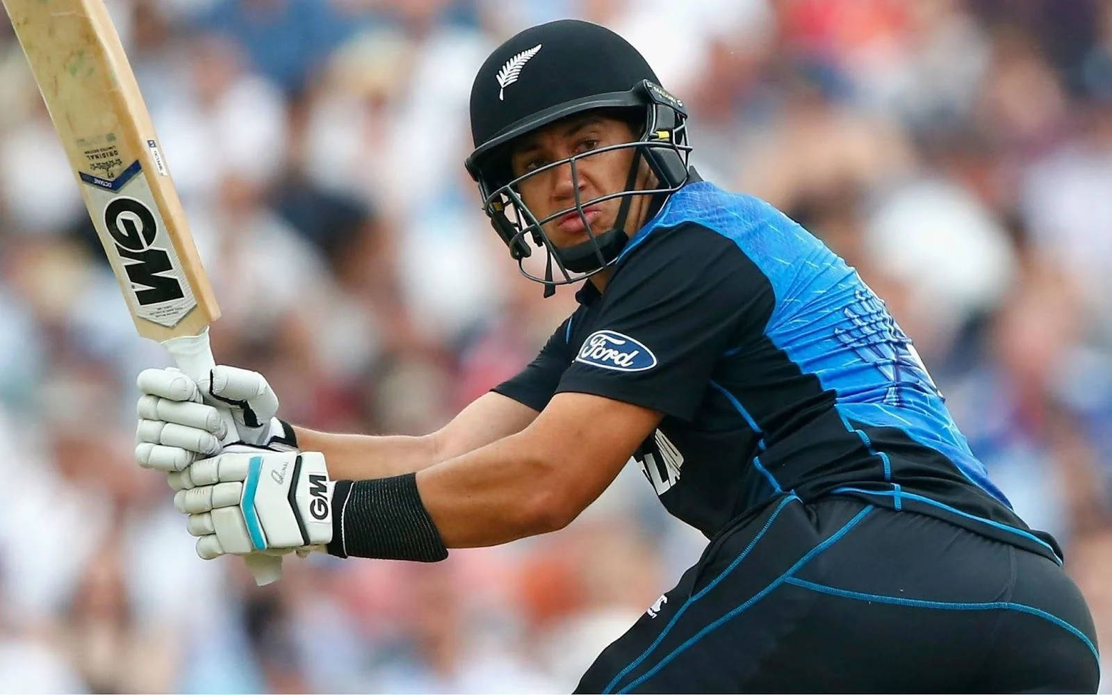 Ross Taylor, blue and black, New Zealand cricket batsman, HD Desktop Wallpaper