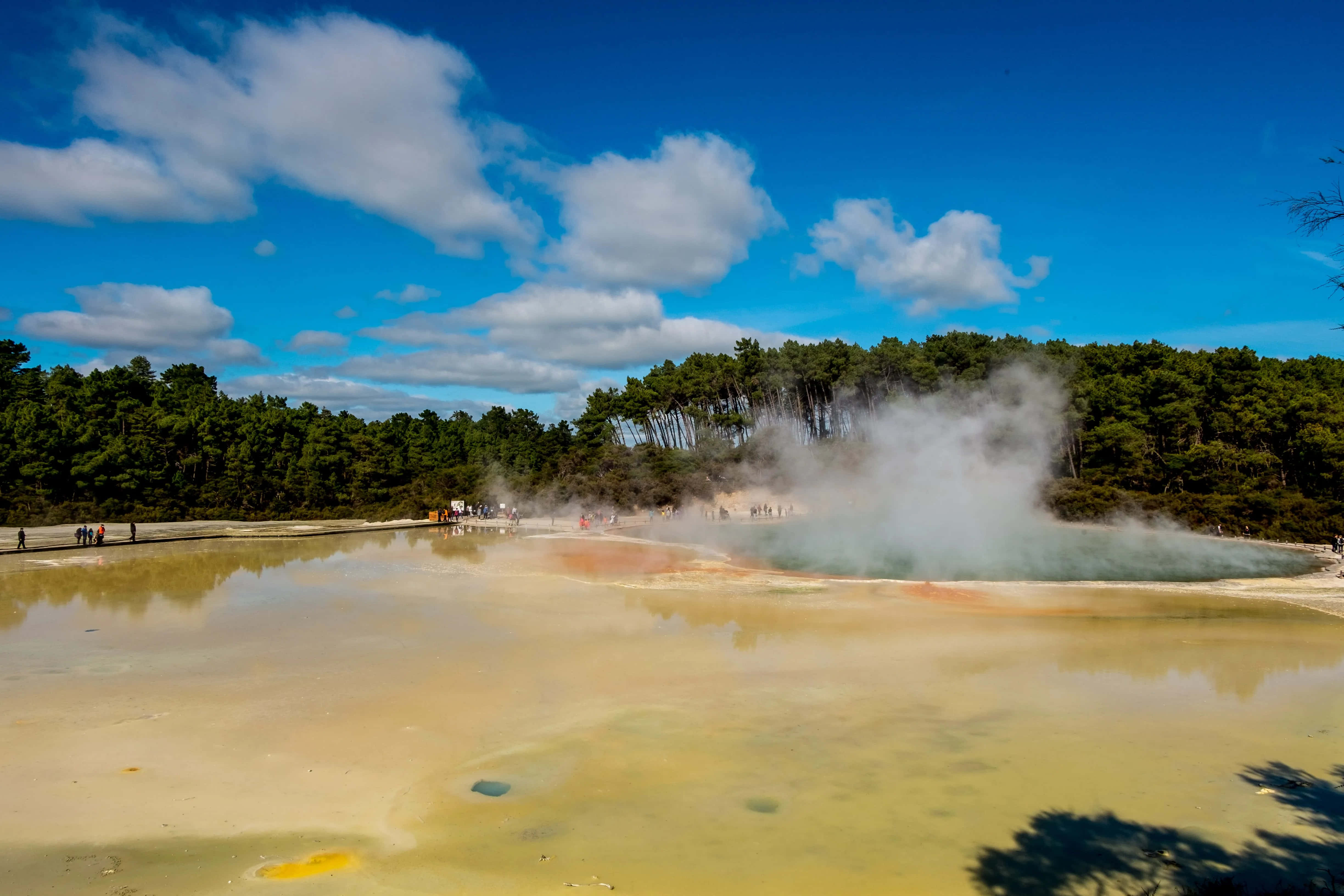 Rotorua, geothermal pool, vibrant yellow, 4K Desktop Wallpaper