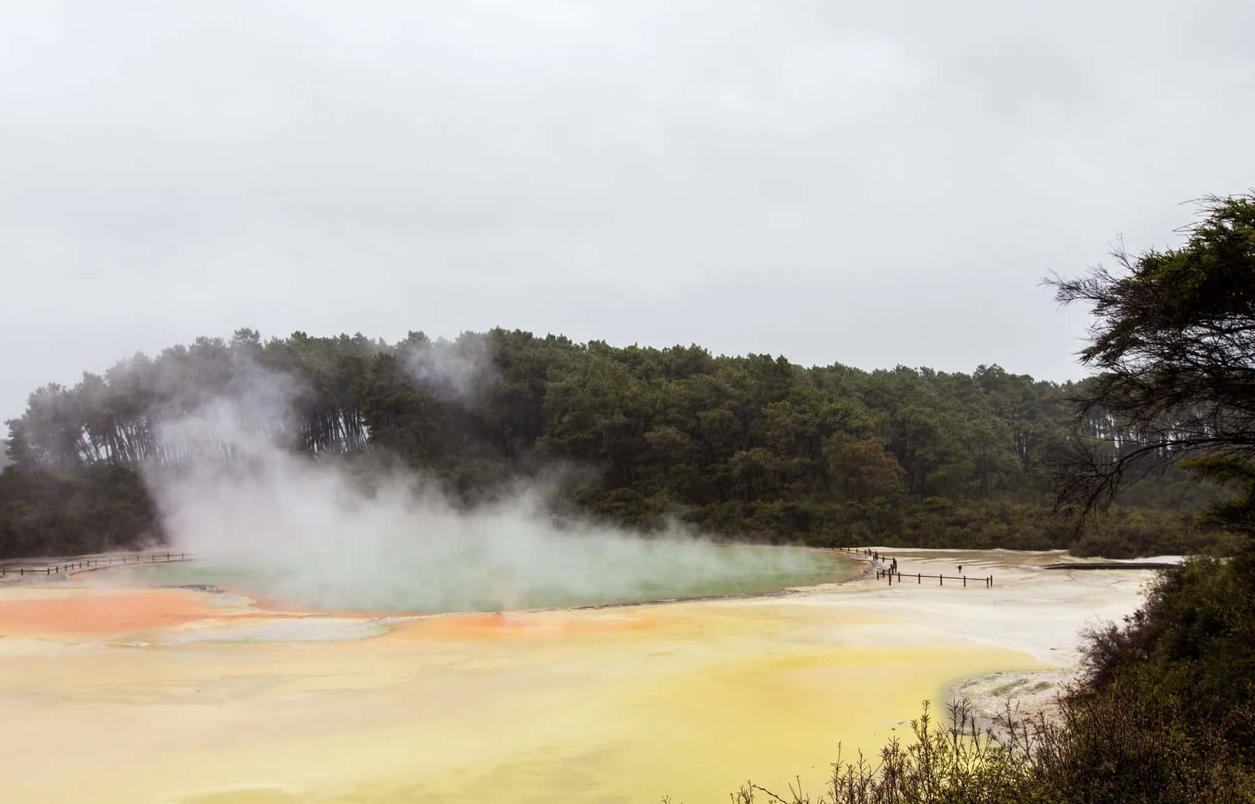Rotorua, geothermal pool, orange and yellow, HD Desktop Wallpaper