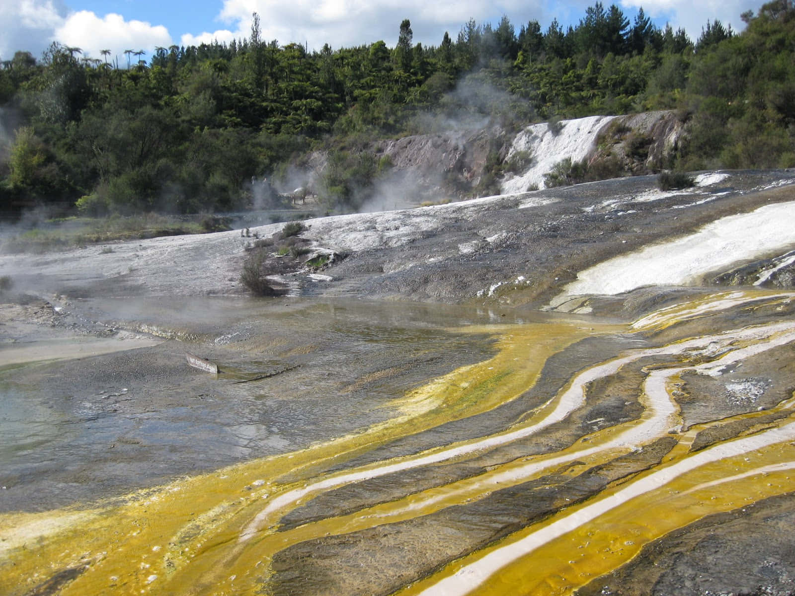 Rotorua, geothermal landscape, vibrant yellow and gray mineral pools, HD Desktop Wallpaper