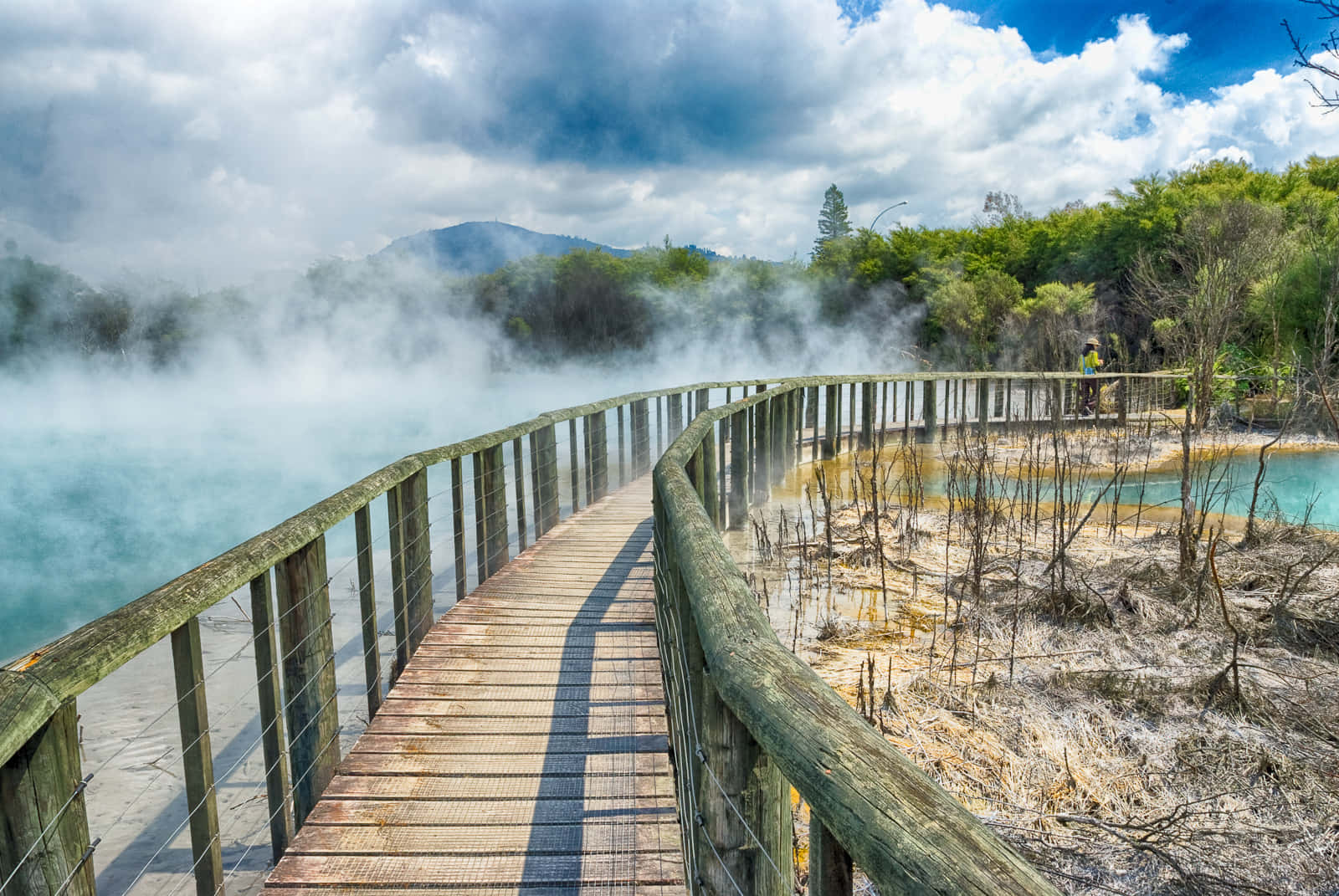 Rotorua, geothermal walkway, steaming turquoise geothermal pools, HD Desktop Wallpaper