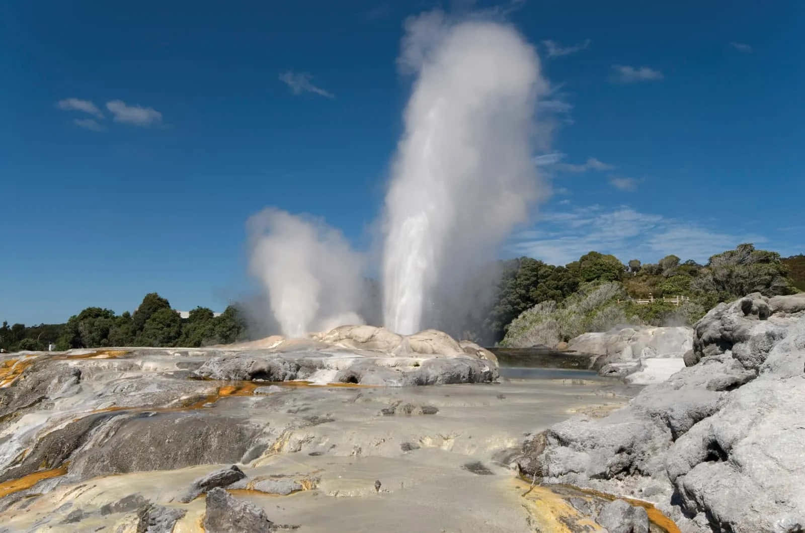 Rotorua, geothermal geyser eruption, towering plume of steam, HD Desktop Wallpaper