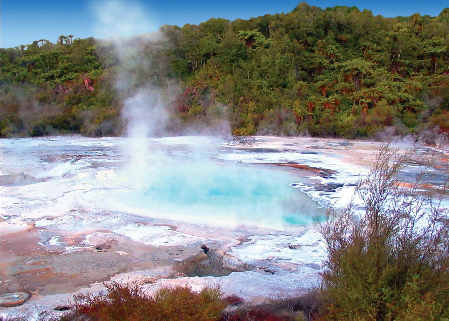 Rotorua, geothermal pool, turquoise, HD Desktop Wallpaper