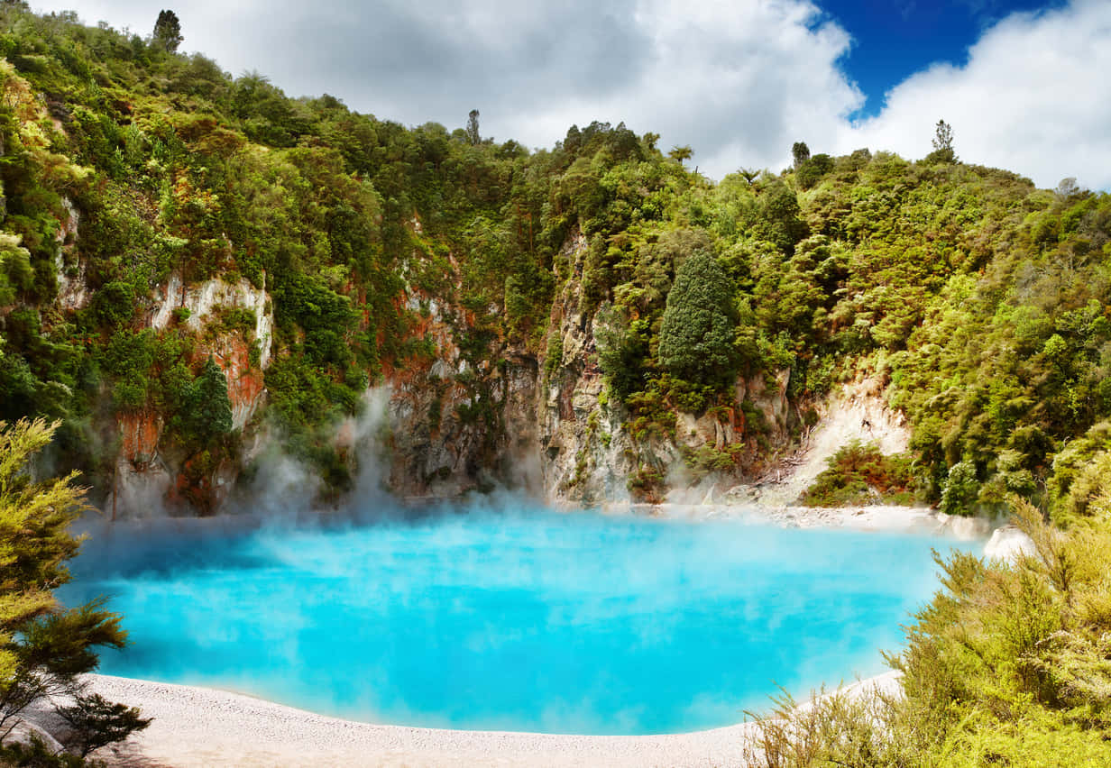 Rotorua, turquoise hot spring, lush green forest, SD Desktop Wallpaper