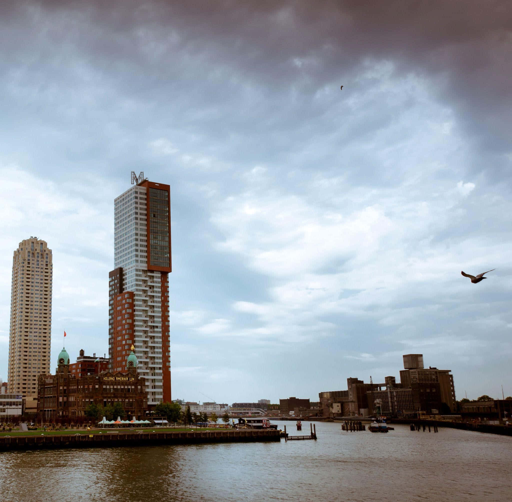 Rotterdam skyline, overcast sky, modern skyscrapers, Full HD Desktop Wallpaper