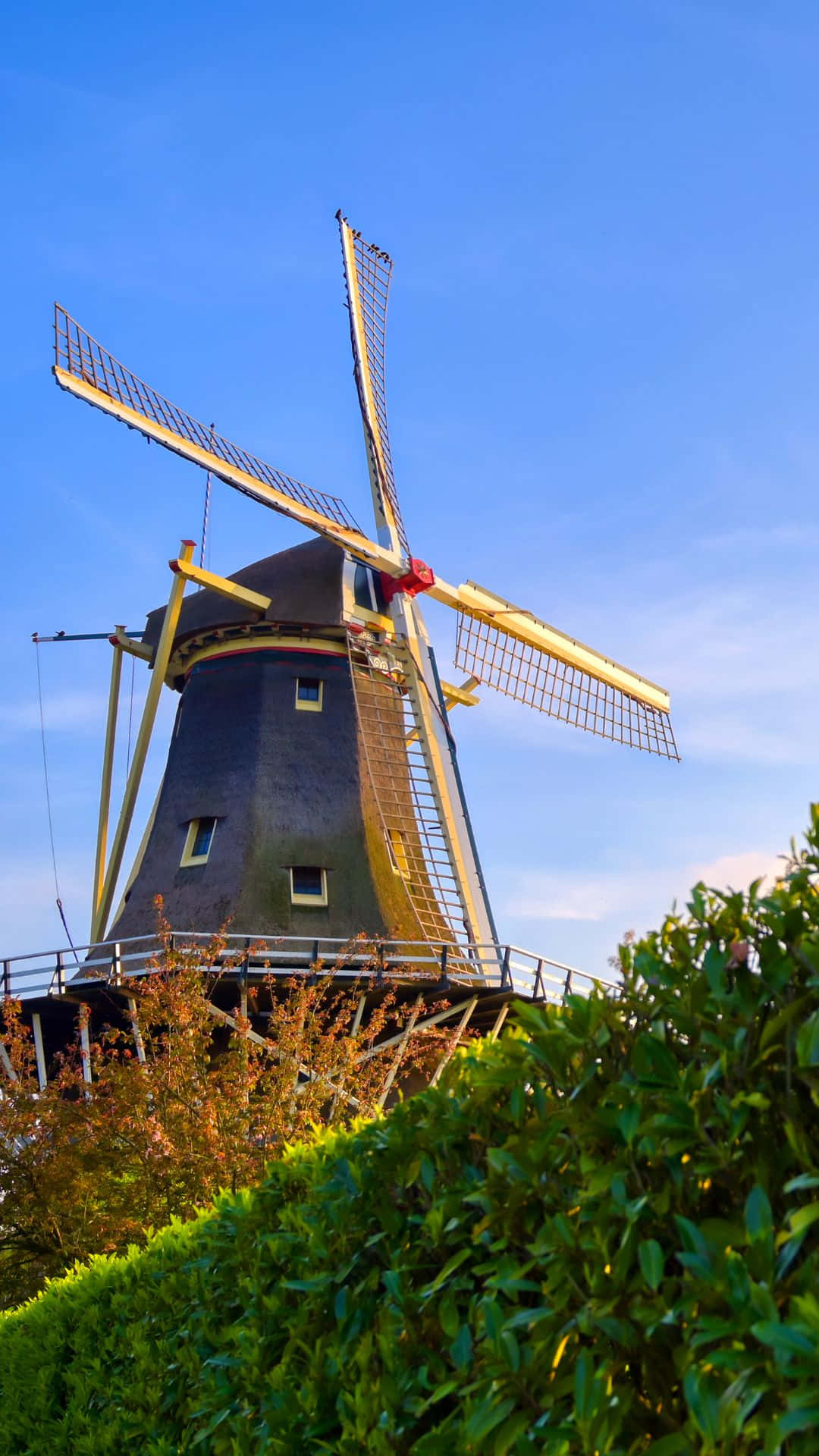 Rotterdam, windmill, blue sky, Full HD Phone Wallpaper