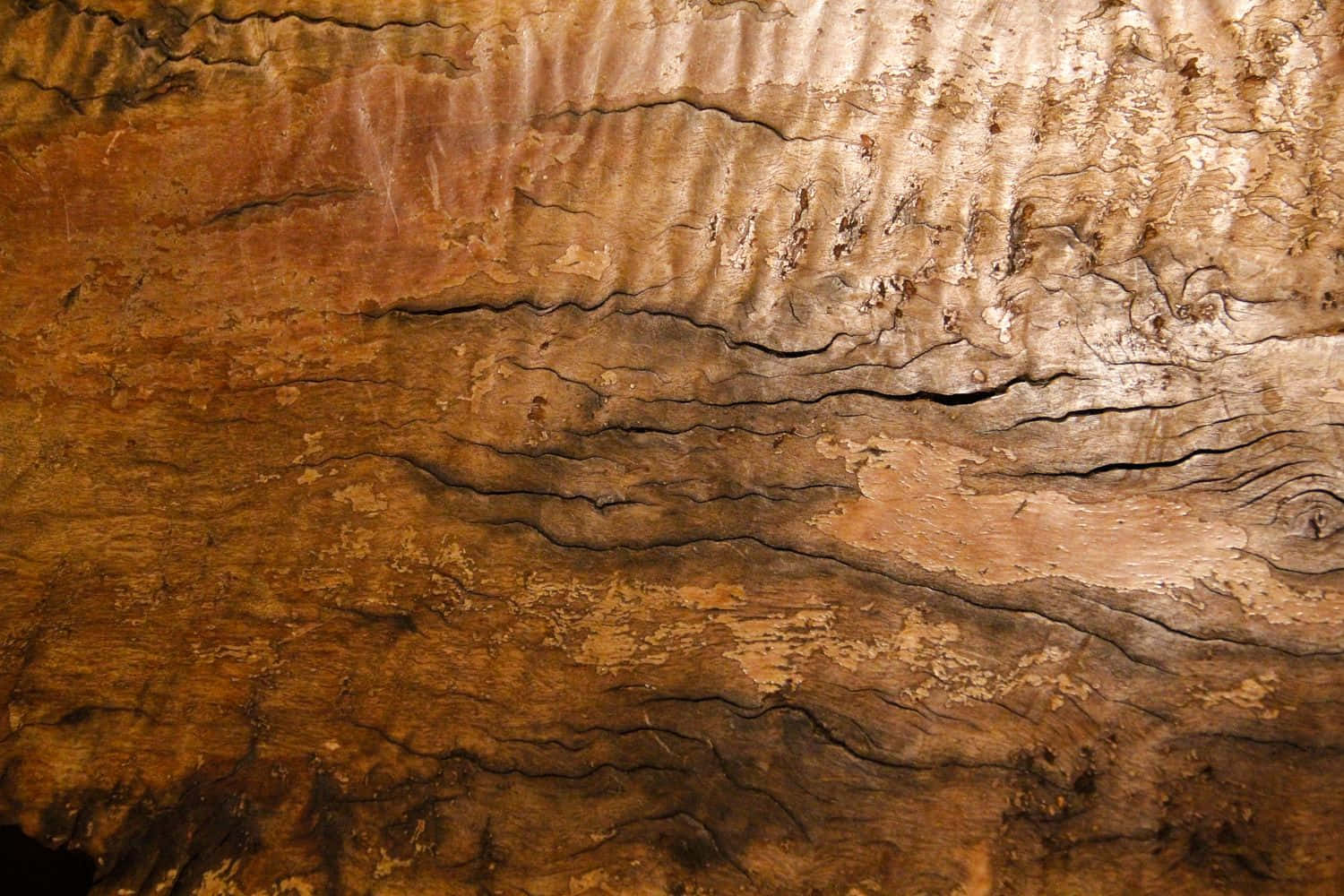 Rough Texture, wood grain, deep brown, HD Desktop Wallpaper