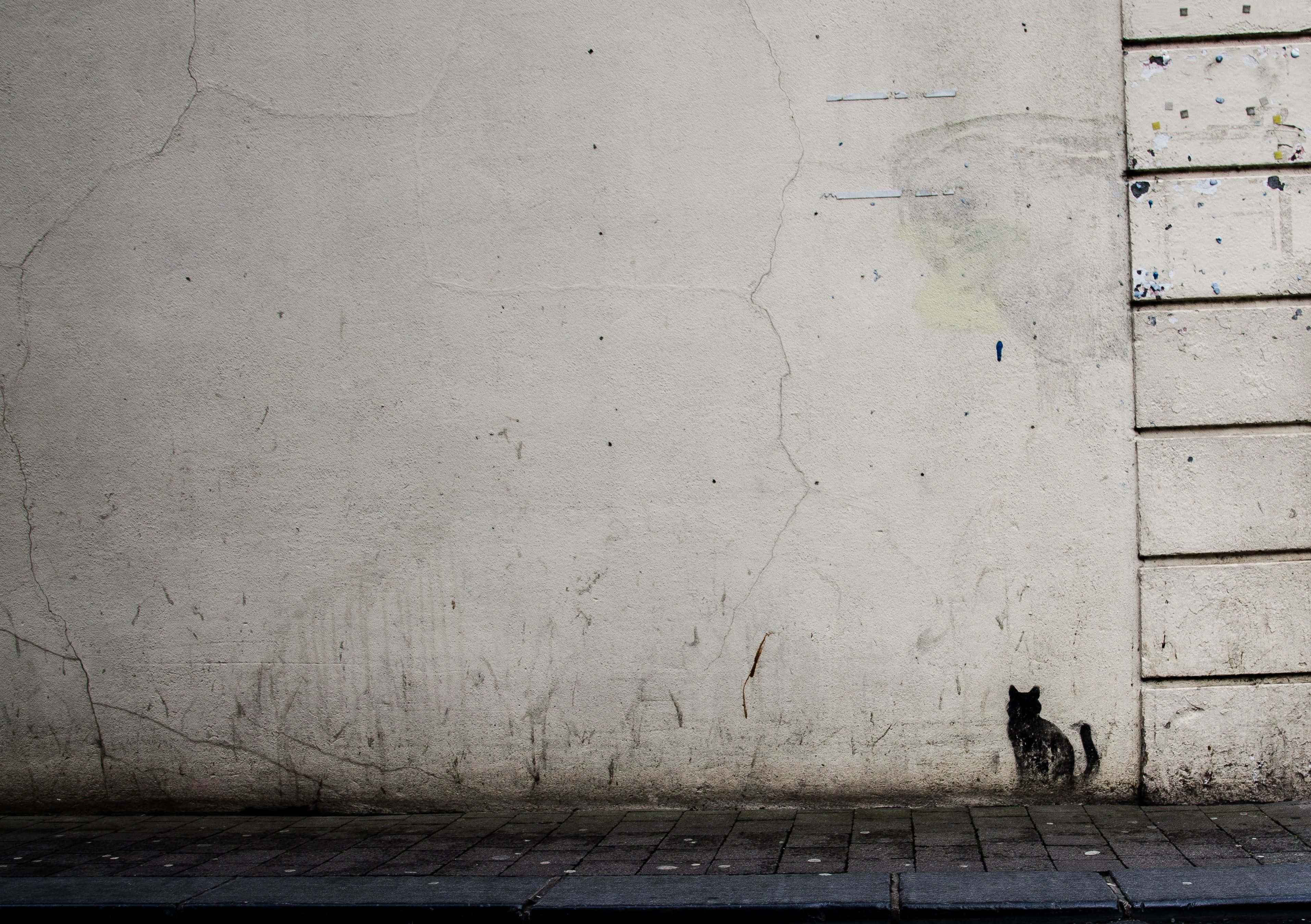 Rough Texture, white wall, cracked concrete wall, 2K Desktop Wallpaper