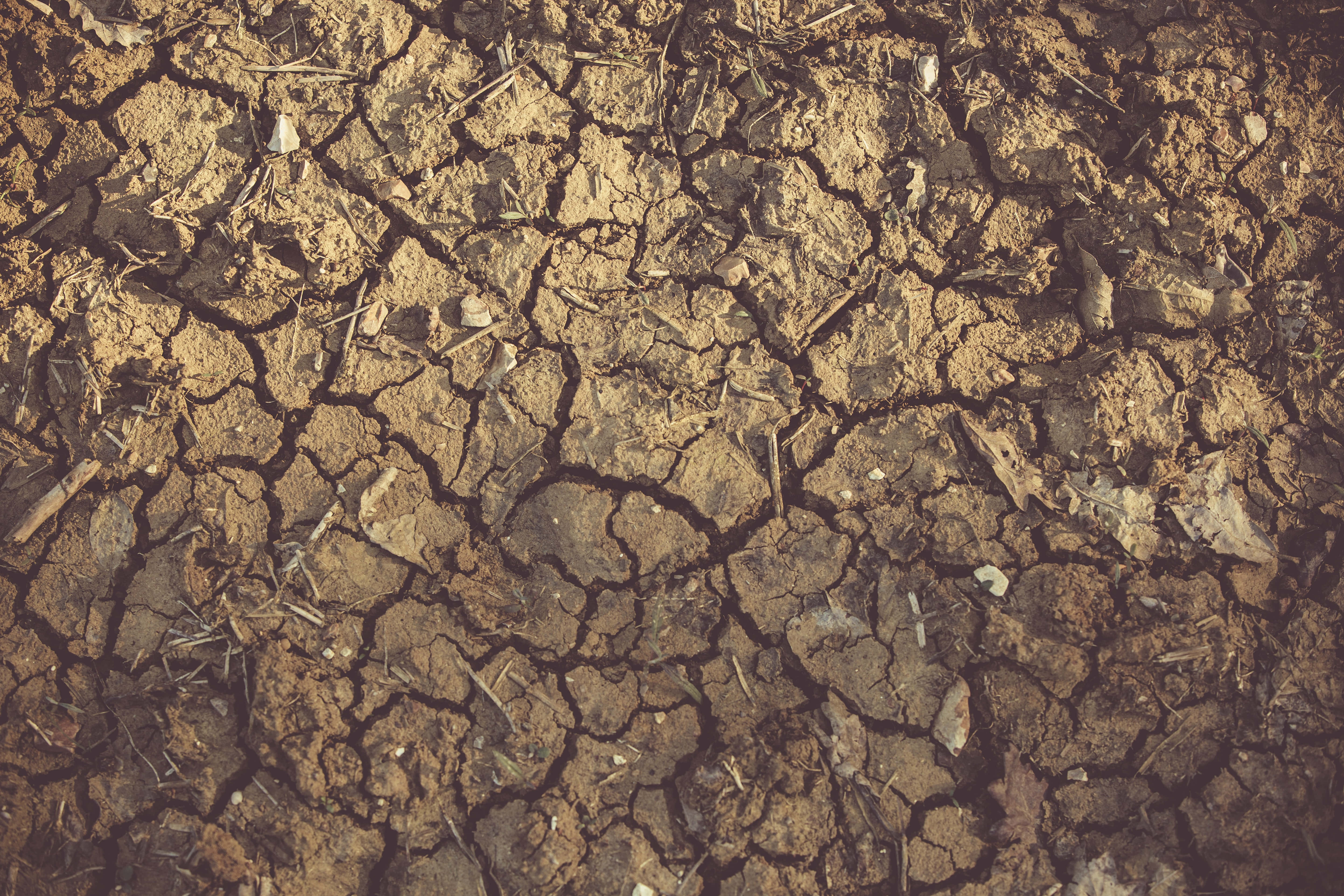 dry mud, cracked soil, barren land, 5K Desktop Wallpaper