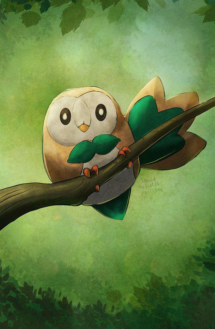 Rowlet, leaf-like wings, branch, SD Phone Wallpaper