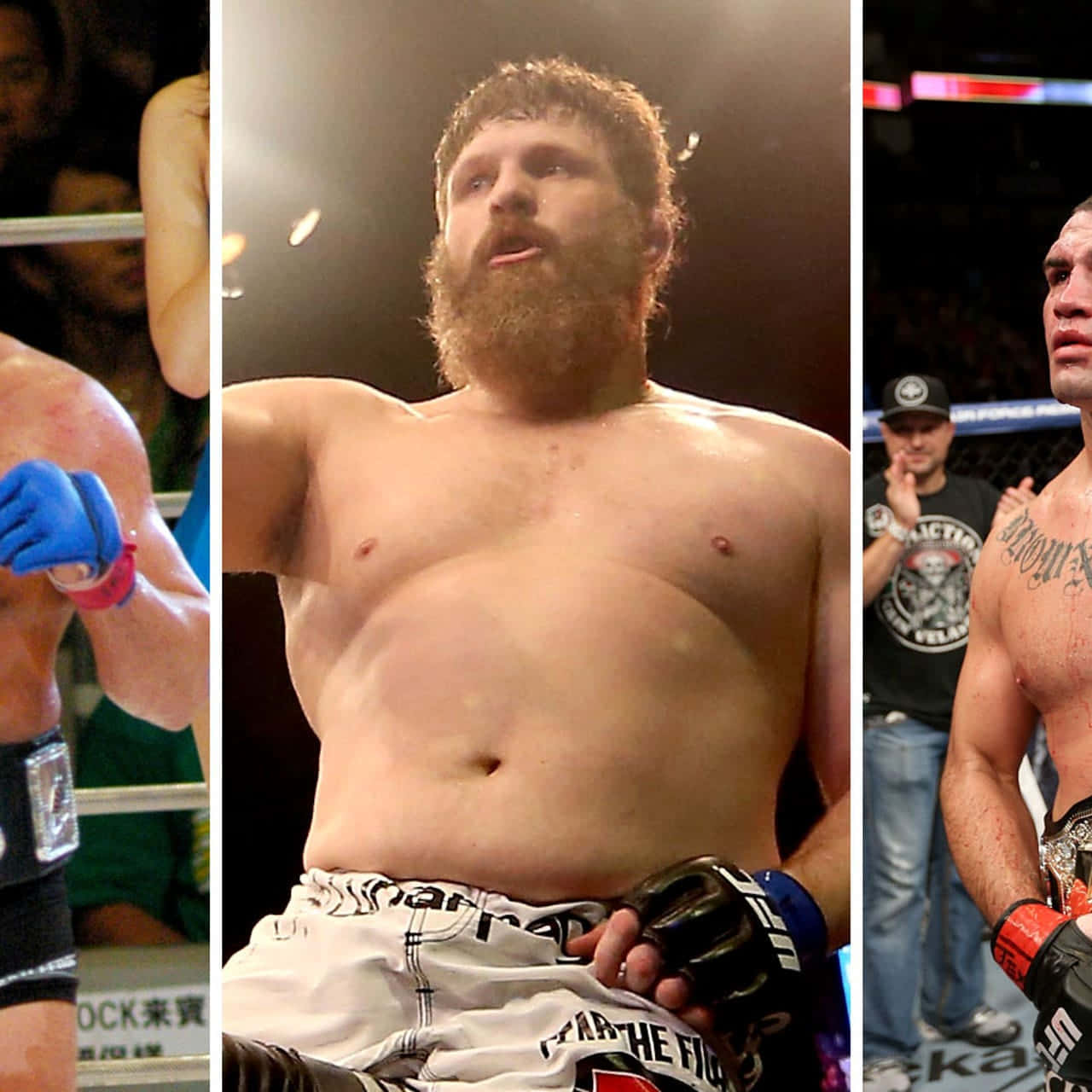 Roy Nelson, octagon barrier, MMA match, HD Desktop Wallpaper