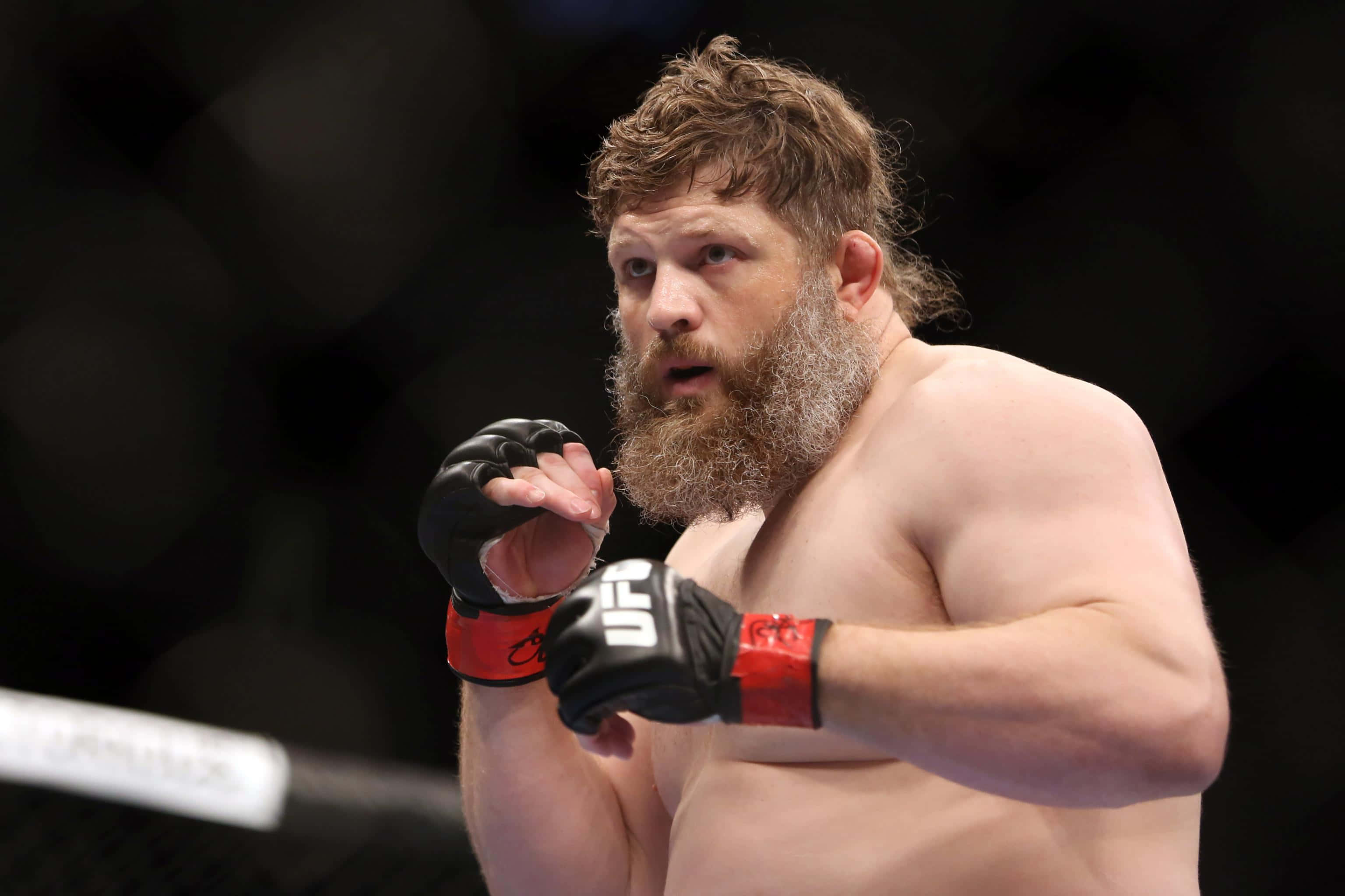 Roy Nelson, black and red gloves, octagon, 2K Desktop Wallpaper