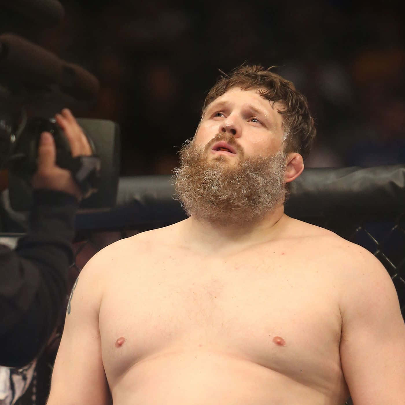 Roy Nelson, cage, bearded fighter, HD Desktop Wallpaper