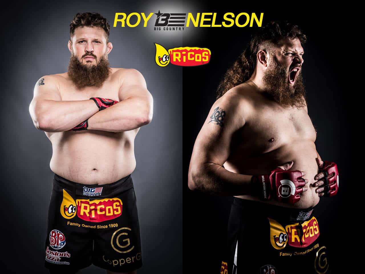 Roy Nelson, branded shorts, studio shot, HD Desktop Wallpaper