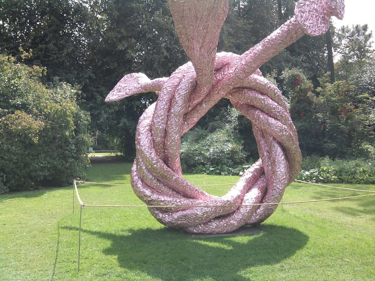 Royal Botanic Garden Edinburgh, pink textured sculpture, twisted rope knot, SD Desktop Wallpaper