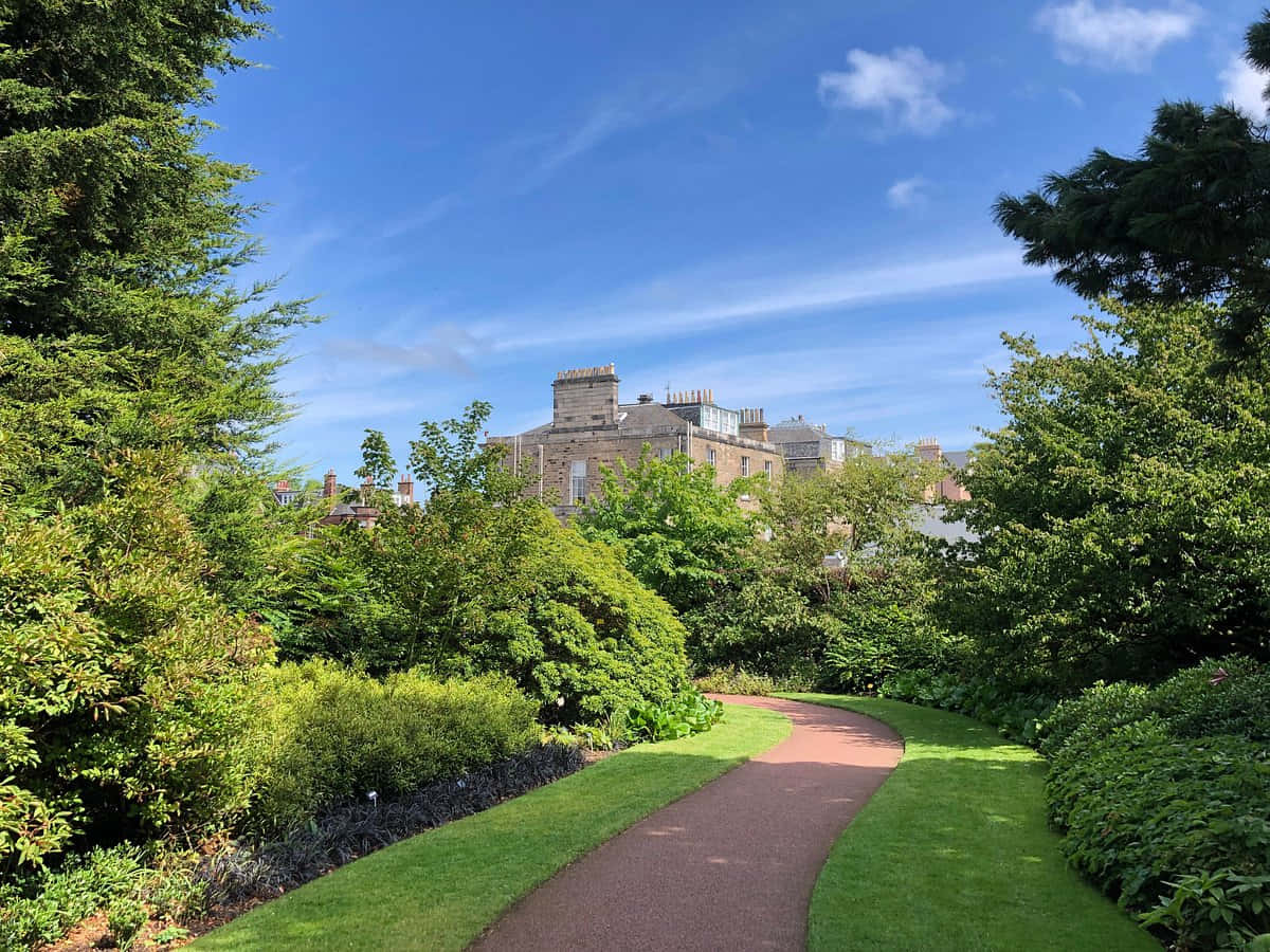 Royal Botanic Garden Edinburgh, winding red path, lush green gardens, SD Desktop Wallpaper