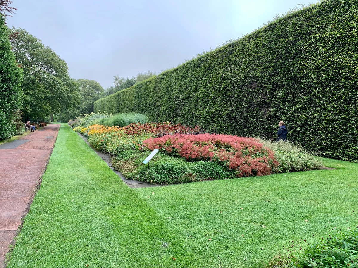 Royal Botanic Garden Edinburgh, pathway, vibrant flowerbeds, SD Desktop Wallpaper