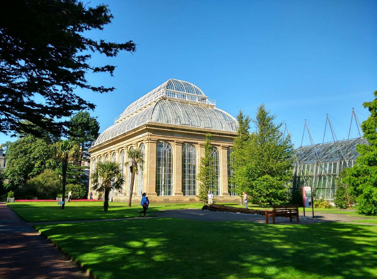 Royal Botanic Garden Edinburgh, glasshouse, glass-domed conservatory, SD Desktop Wallpaper