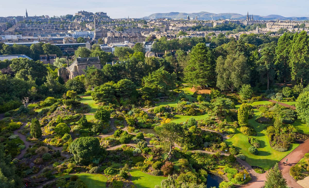 Edinburgh Botanic Garden, lush green gardens, winding paths, SD Desktop Wallpaper