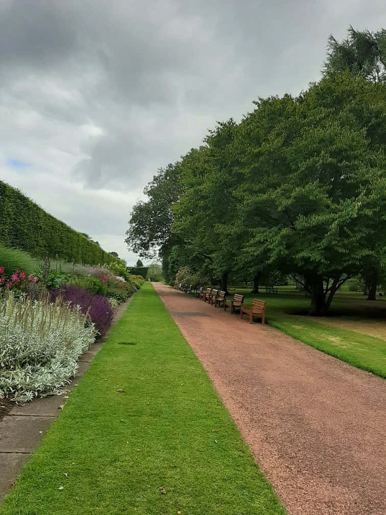 Royal Botanic Garden Edinburgh, gravel path, wooden benches, SD Phone Wallpaper