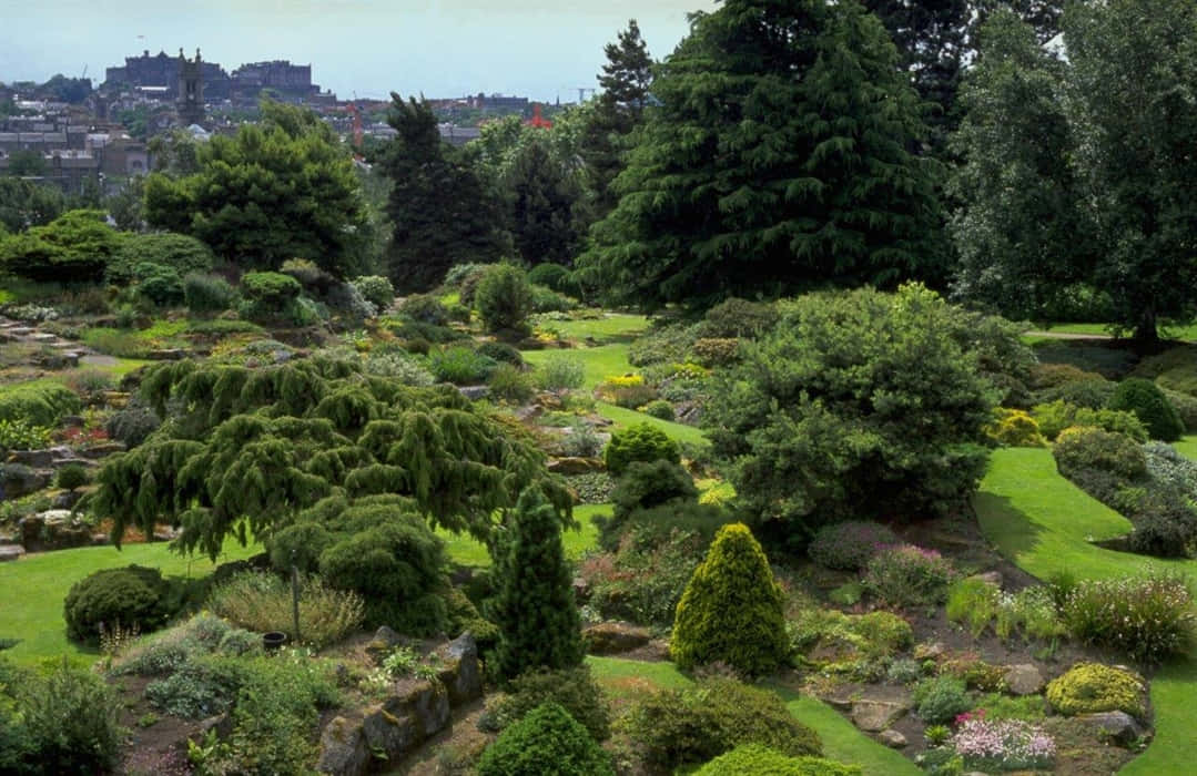 Edinburgh Botanic Garden, lush greenery, winding paths, SD Desktop Wallpaper