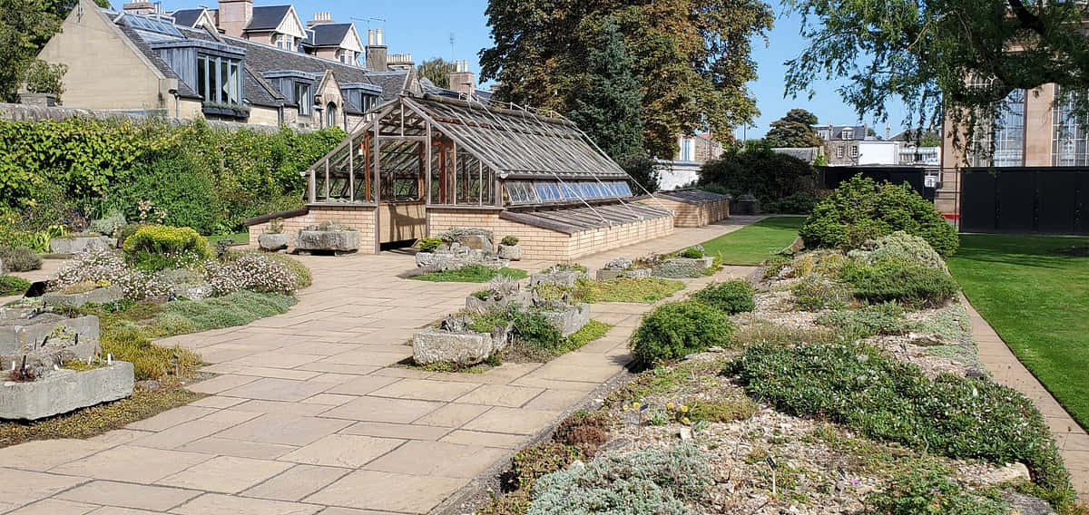 Royal Botanic Garden Edinburgh, greenhouse, glass greenhouse, SD Desktop Wallpaper