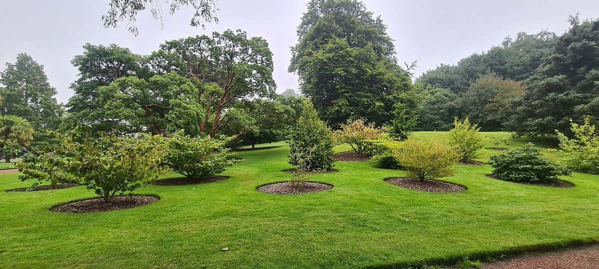 Royal Botanic Garden Edinburgh, lush green grass, neatly planted shrubs, SD Desktop Wallpaper