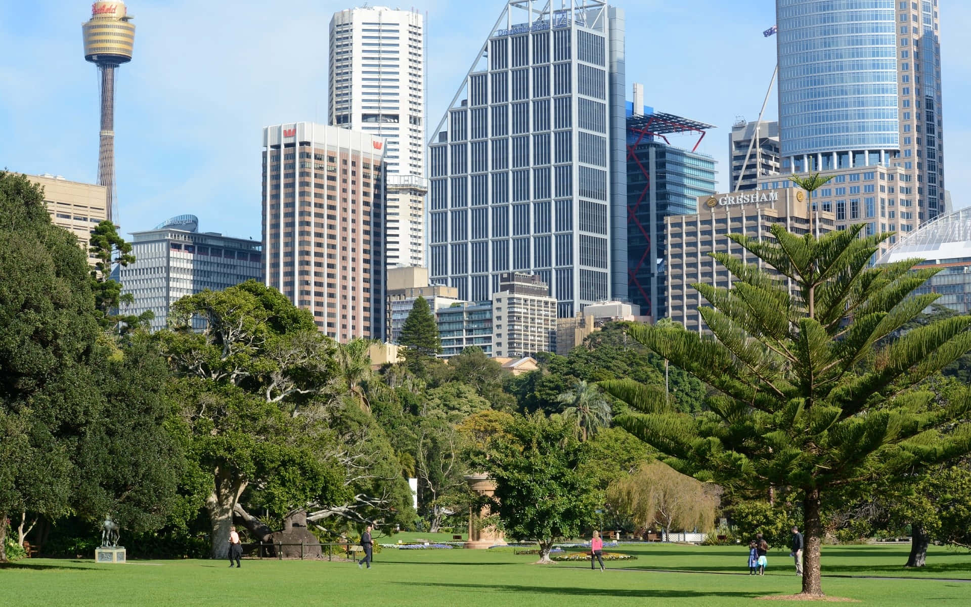 Royal Botanic Garden Sydney, Sydney skyline, modern skyscrapers, Full HD Desktop Wallpaper