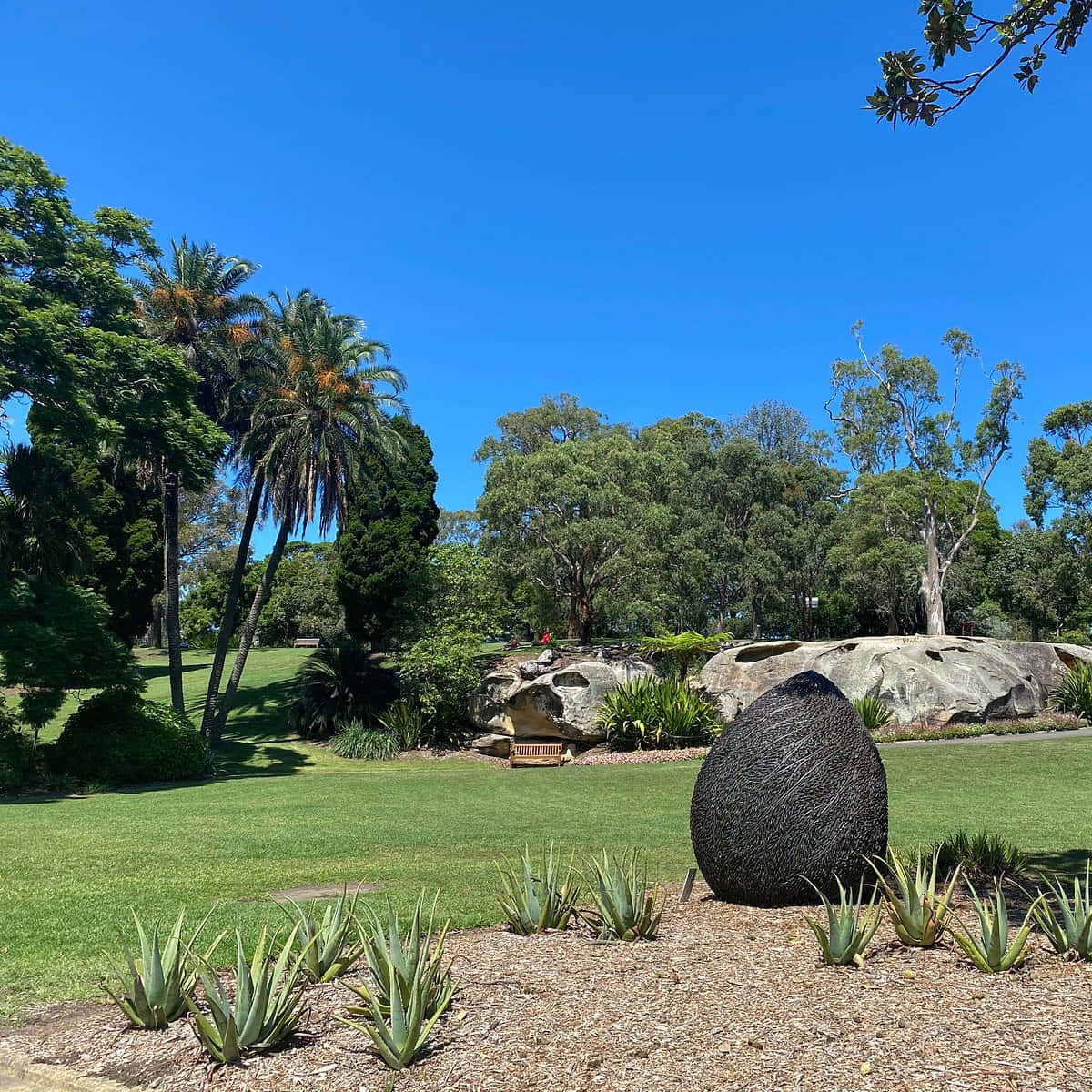 Royal Botanic Garden Sydney, textured black sculpture, gravel bed, SD Desktop Wallpaper