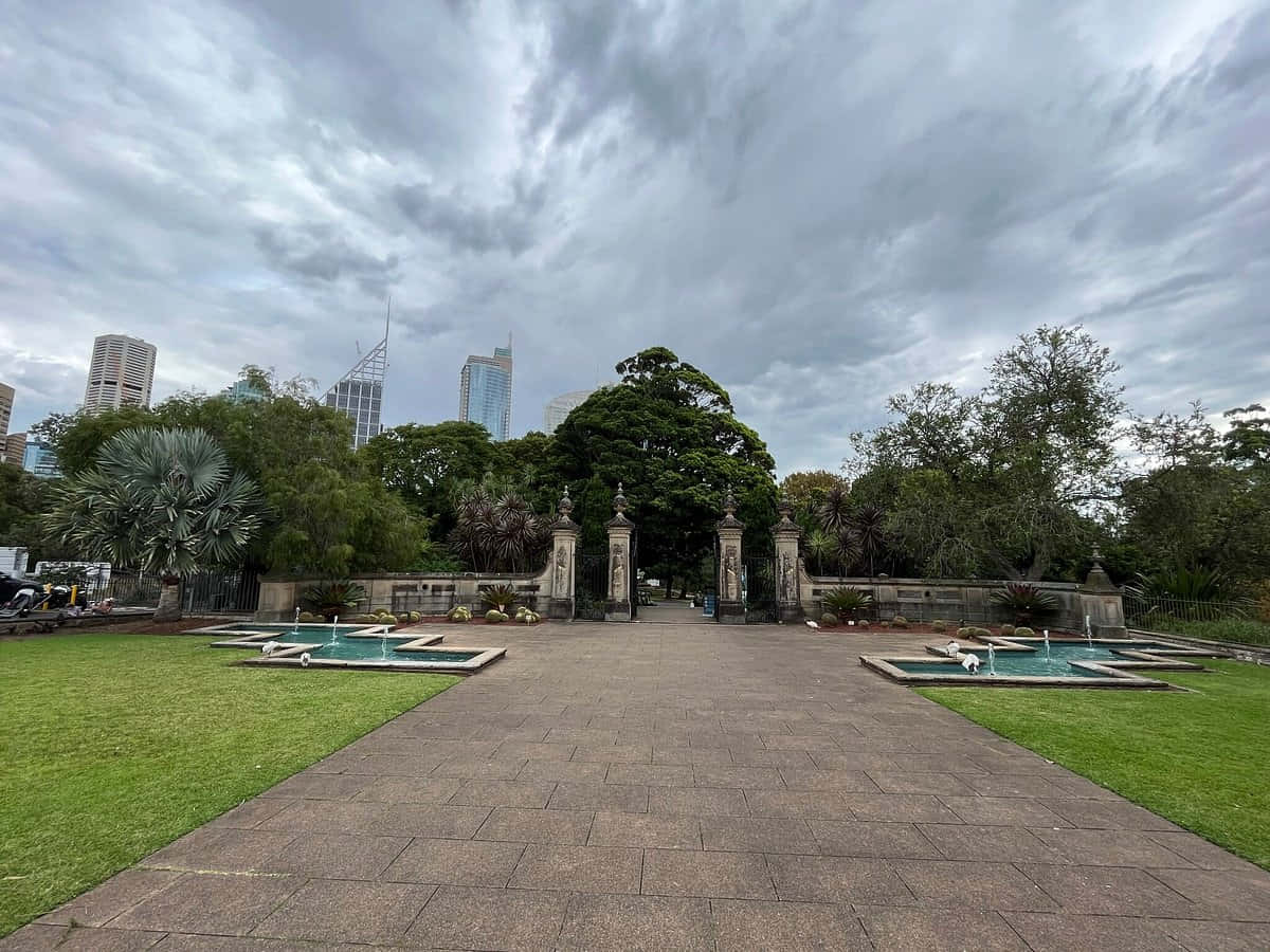 Royal Botanic Garden Sydney, stone pathway, fountains, SD Desktop Wallpaper