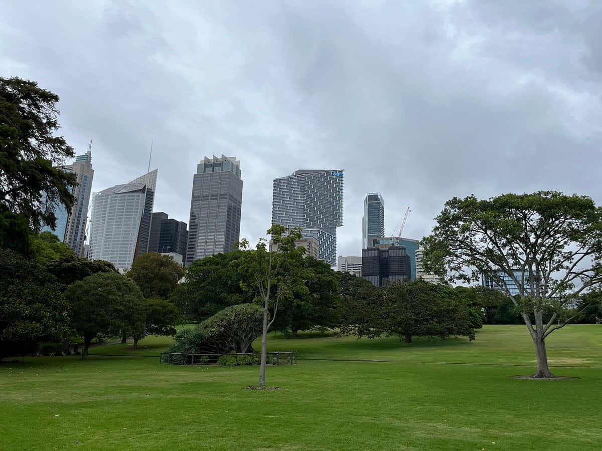 Sydney Skyline, Royal Botanic Garden, overcast sky, SD Desktop Wallpaper