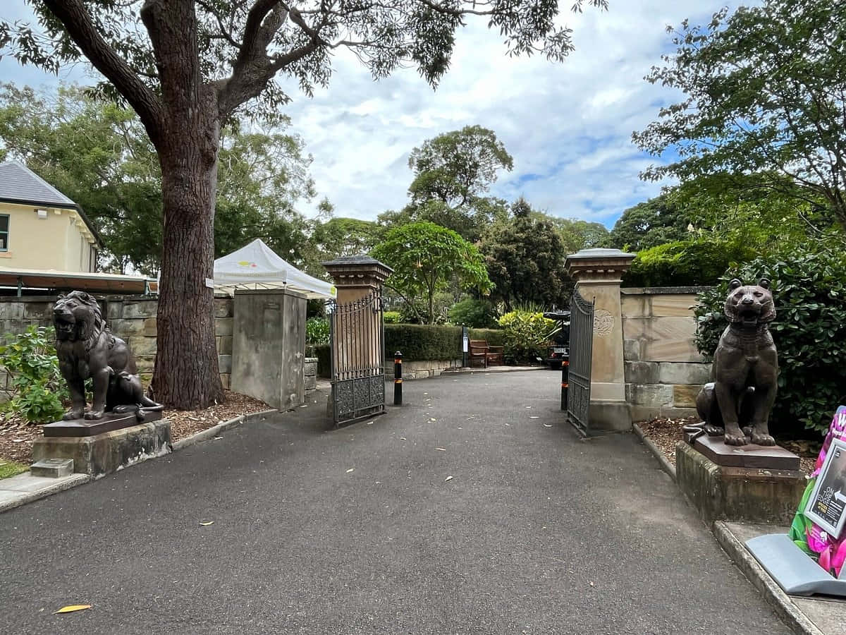 Royal Botanic Garden Sydney, entrance gate, stone gate, SD Desktop Wallpaper
