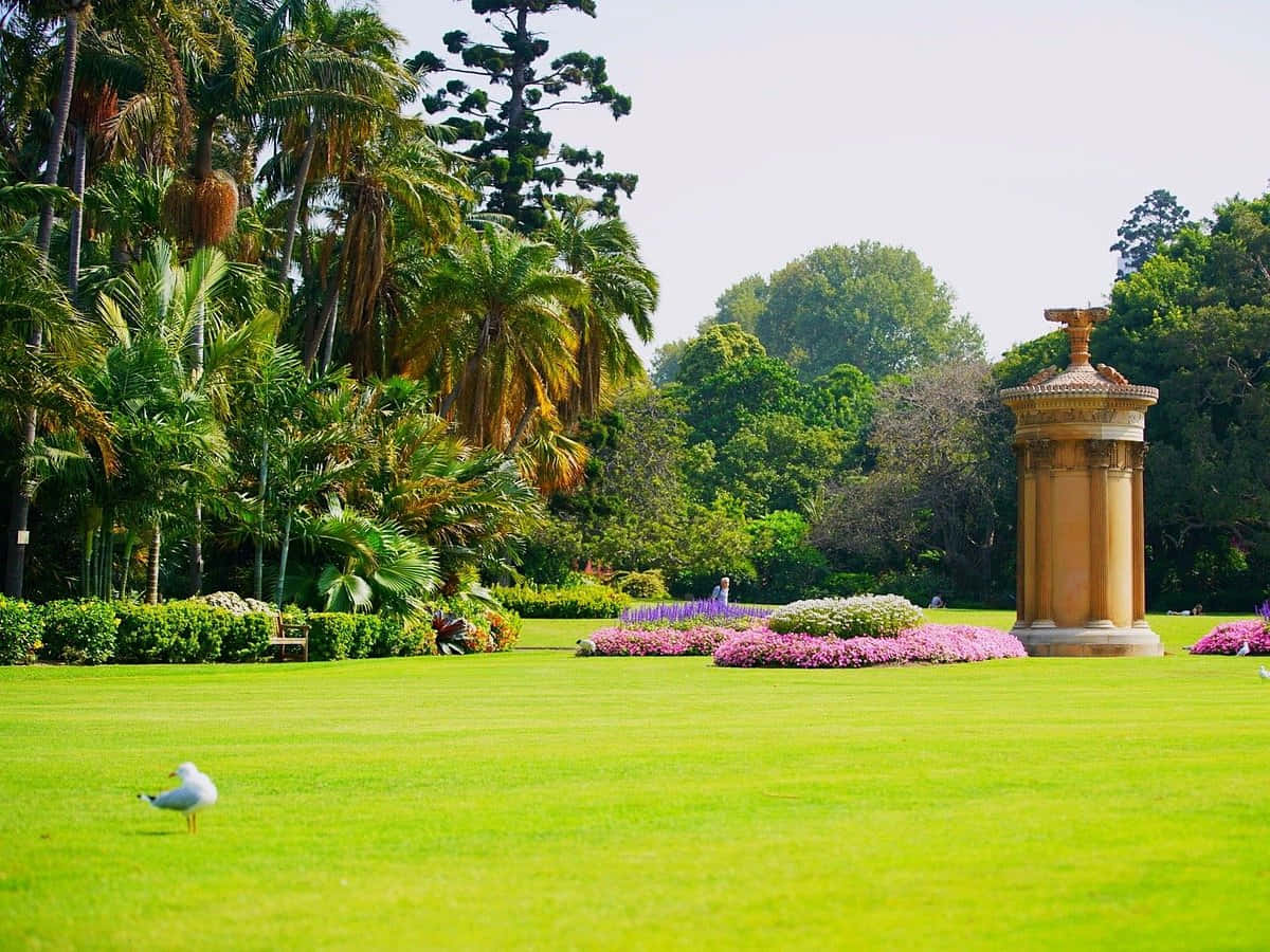 Royal Botanic Garden Sydney, green lawn, classical stone column, SD Desktop Wallpaper