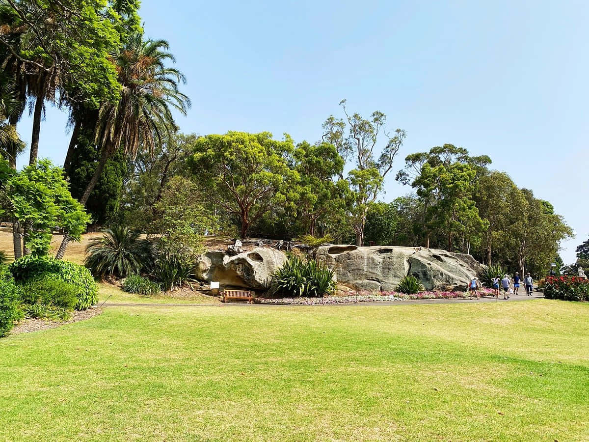 Royal Botanic Garden Sydney, rock formation, lush green trees, SD Desktop Wallpaper
