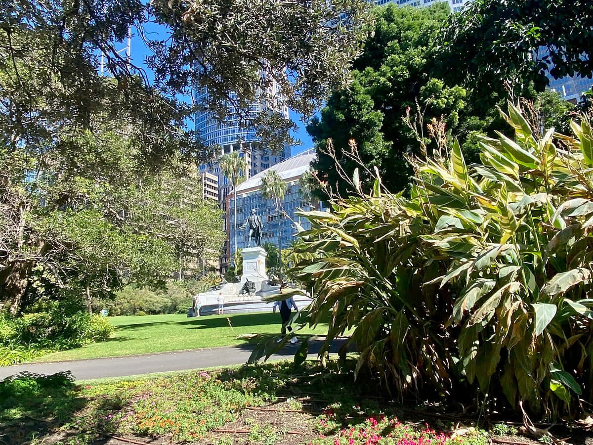 Royal Botanic Garden Sydney, lush green park, trees, SD Desktop Wallpaper