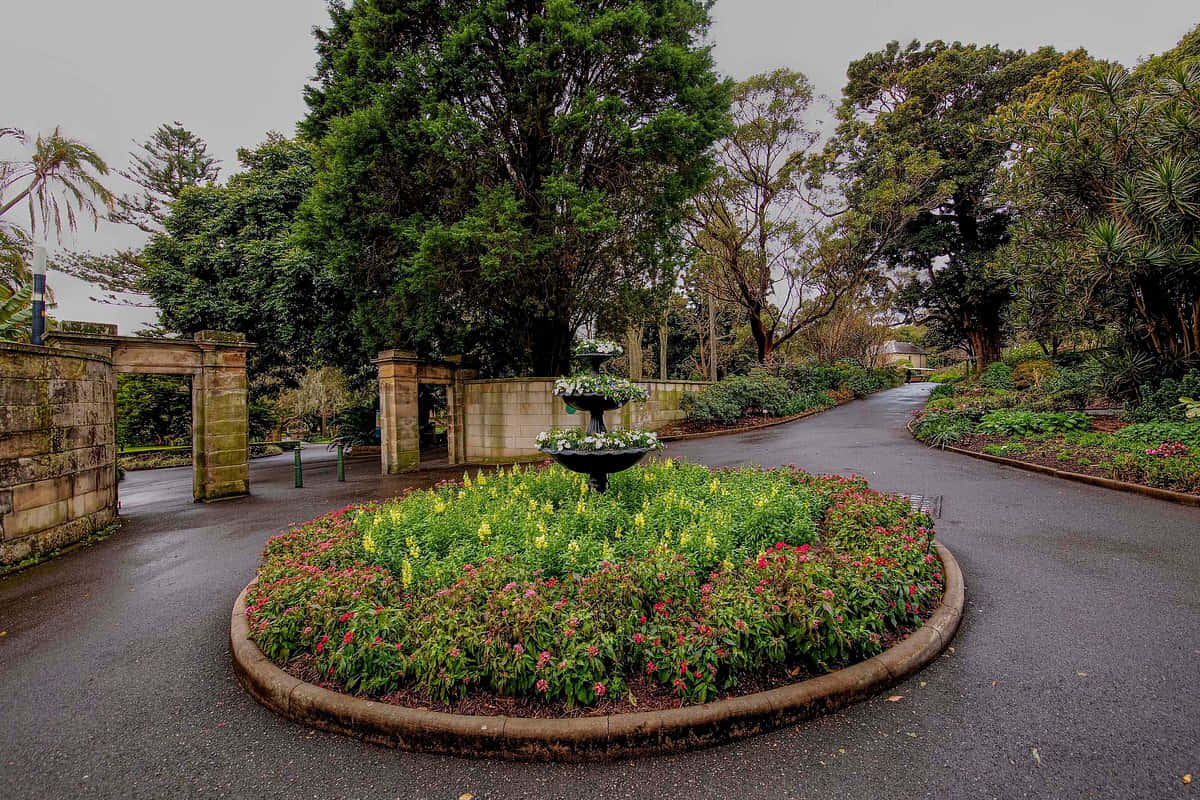 Royal Botanic Garden Sydney, fountain pathway, tiered fountain, SD Desktop Wallpaper