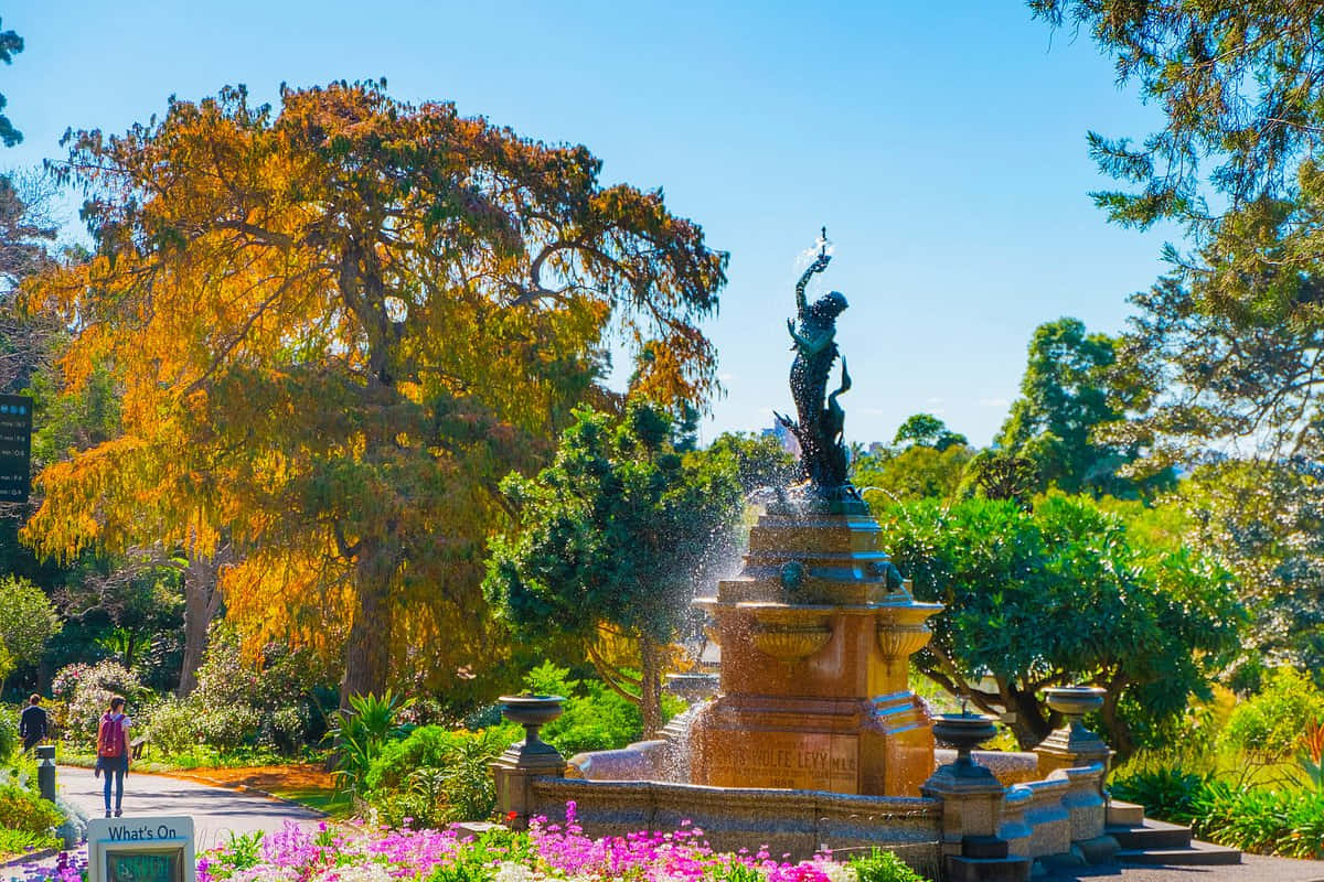 Royal Botanic Garden Sydney, fountain statue, mermaid statue, SD Desktop Wallpaper
