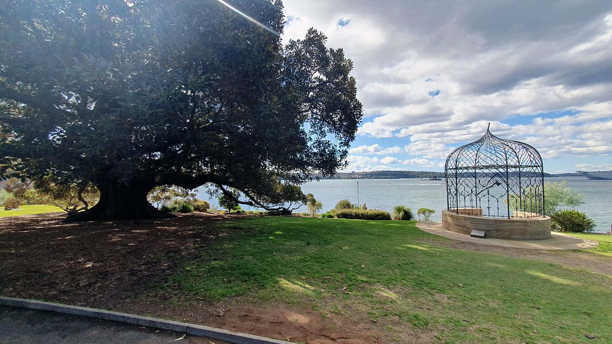 Royal Botanic Garden Sydney, gazebo, leafy tree, SD Desktop Wallpaper