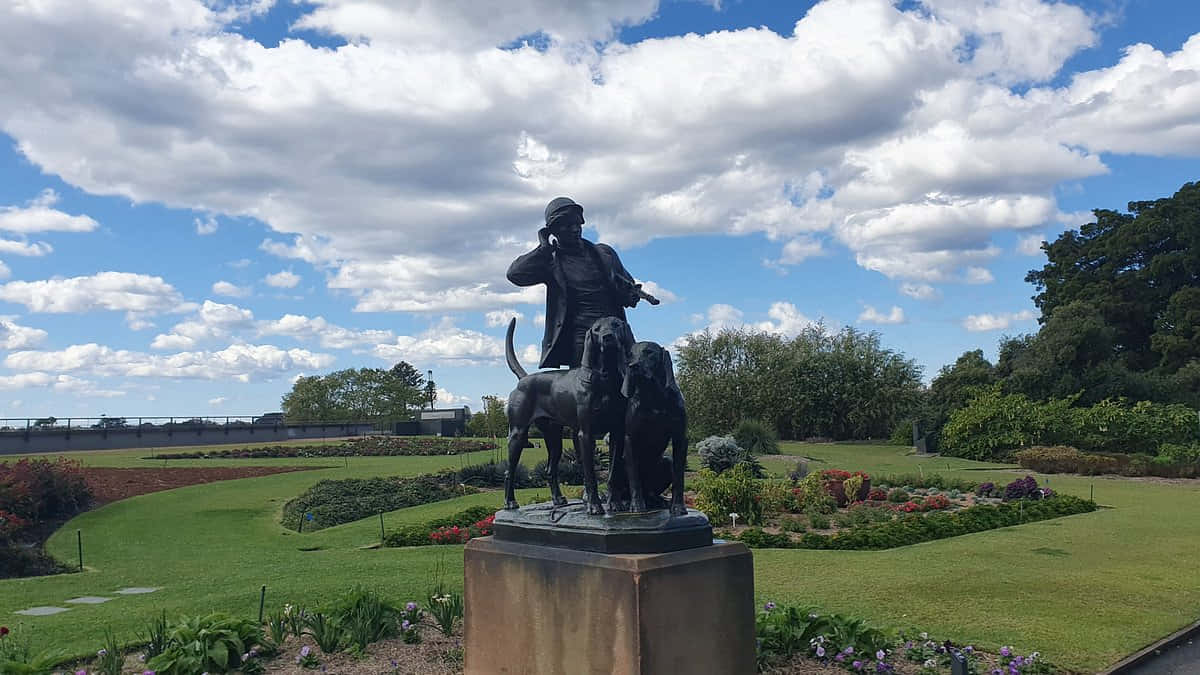 statue, man, hunting dogs, SD Desktop Wallpaper