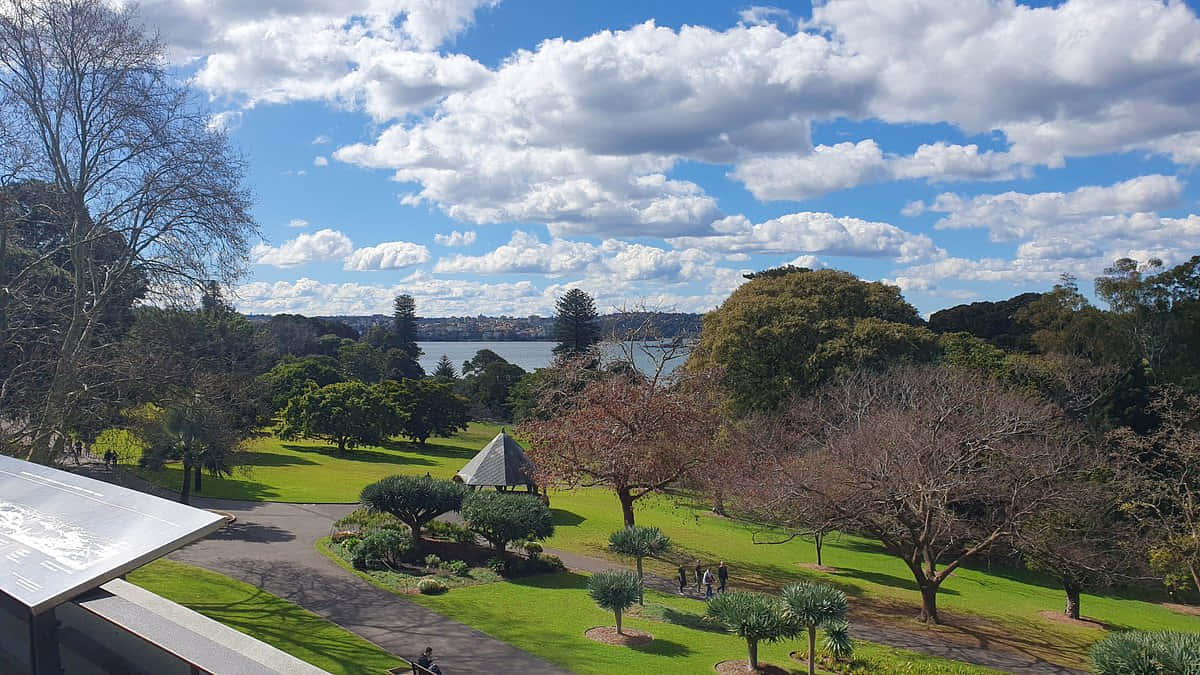 Royal Botanic Garden Sydney, sunny day, lush green park, SD Desktop Wallpaper