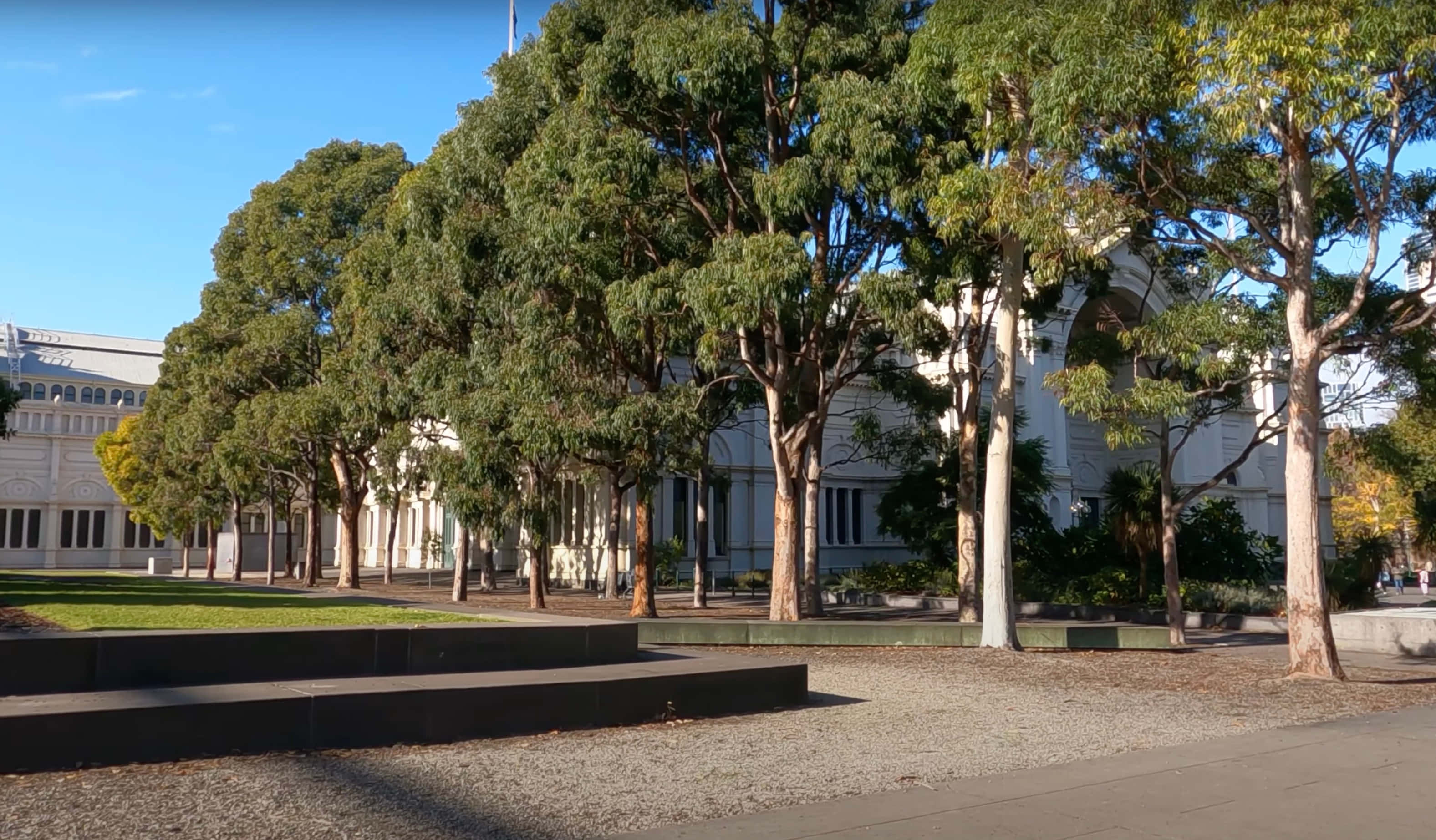 Royal Exhibition Building, eucalyptus trees, green leaves, 2K Desktop Wallpaper