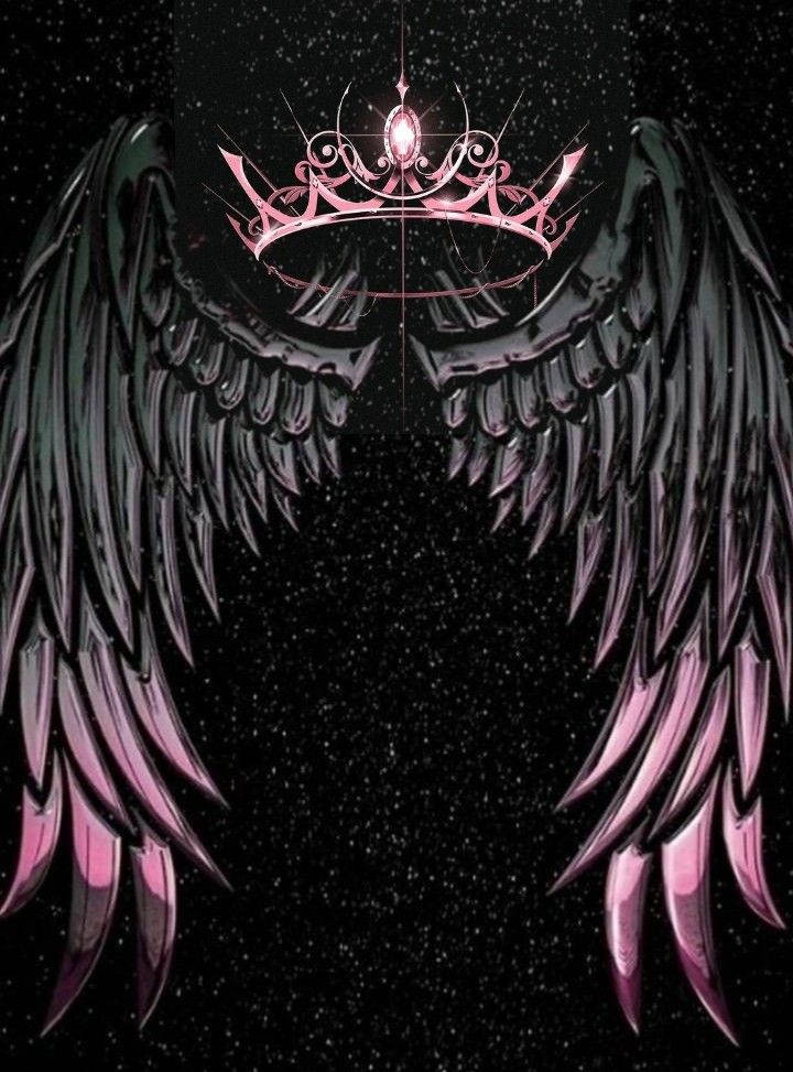 Rrq, Gothic black wings, pink-tipped feathers, SD Phone Wallpaper