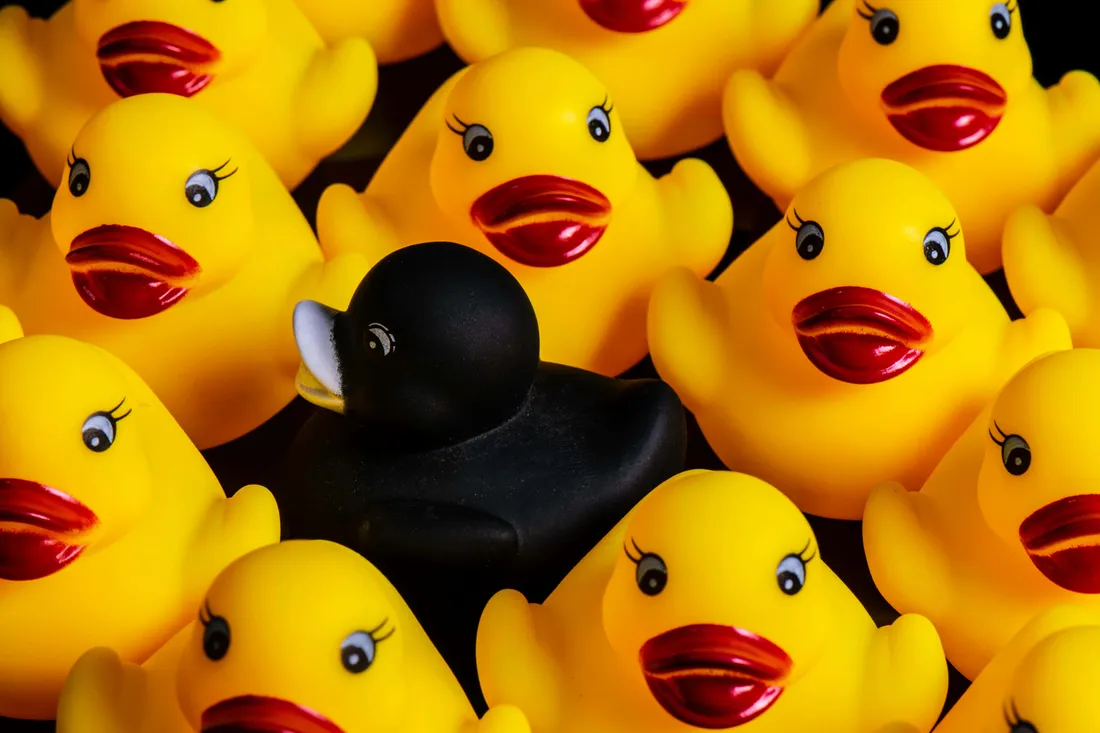 Rubber Duck