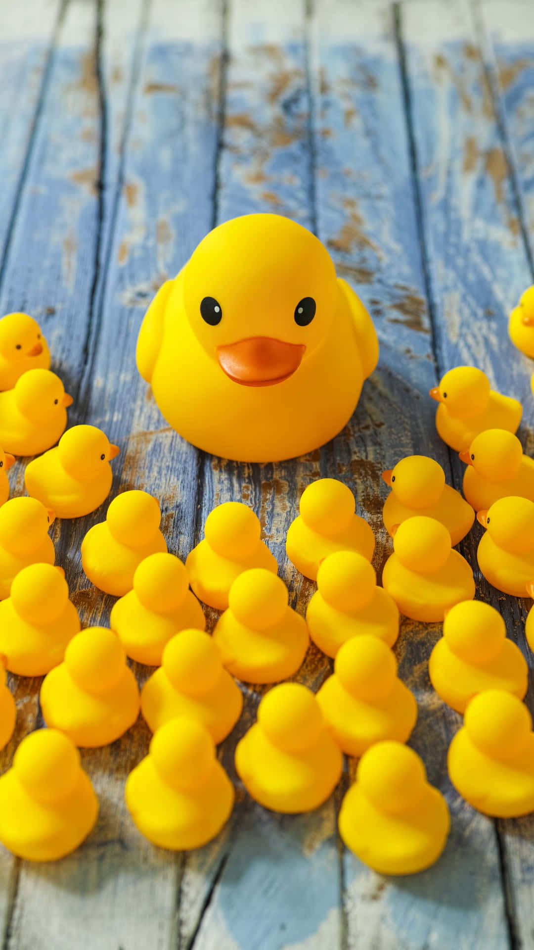yellow rubber duck, flockon, blue wooden background, Full HD Phone Wallpaper