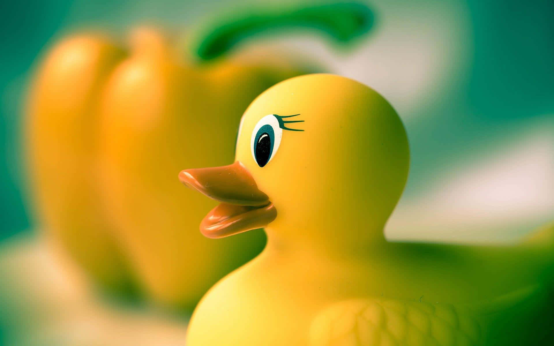 yellow rubber duck, eyelashes, orange beak, Full HD Desktop Wallpaper