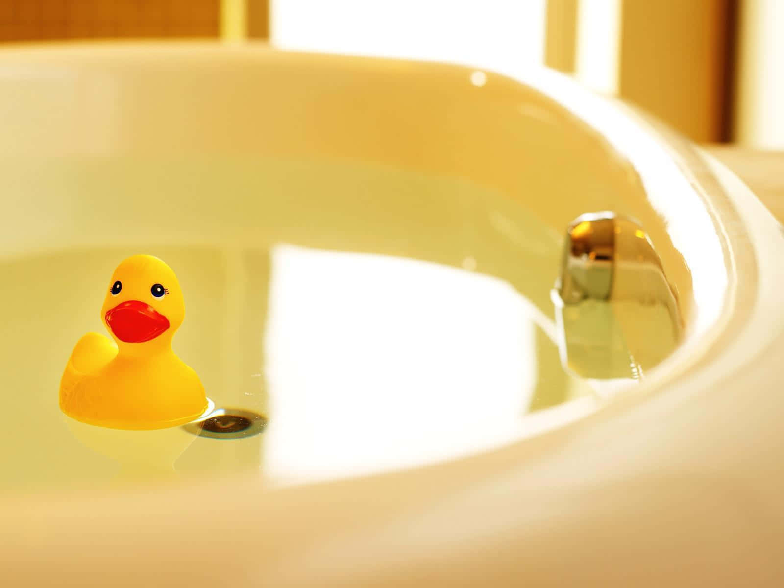 rubber duck, bathtub, sunlit, HD Desktop Wallpaper